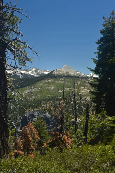 Hermoso Bosque Con Infinitas Vistas Una Cascada Desde Una Las —  Fotos de Stock