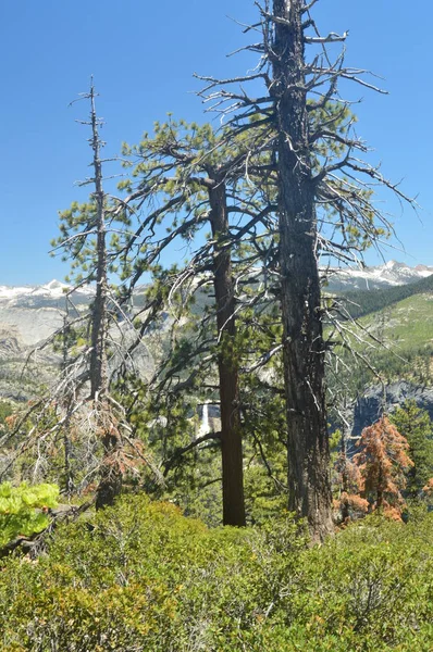 Hermoso Bosque Con Infinitas Vistas Una Cascada Desde Una Las —  Fotos de Stock