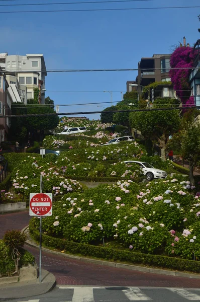 Lombard Street San Francisco Sokaklarında Birinin Etkileyici Olmayacak Tatil Arquietectura — Stok fotoğraf