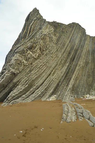 Fósil Record Mountains Formations Flysch Type Paleocene Geopark Basque Route — Foto de Stock