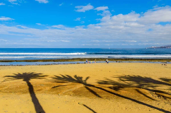 Shadows Palm Trees Sunrise Las Americas Beach April 2019 Santa — Stock Photo, Image