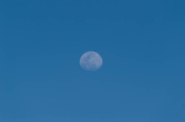Las Americas Plajı 'nda Sunset' te Kıtır Dolunay. 11 Nisan 2019. Santa Cruz de Tenerife İspanya Afrika. Seyahat Turizmi Sokak Fotoğrafçılığı.
