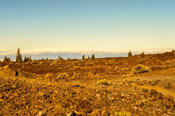 Firy Obklopené Sopečnými Skálami Pozadím Atlantský Oceán Národním Parku Teide — Stock fotografie