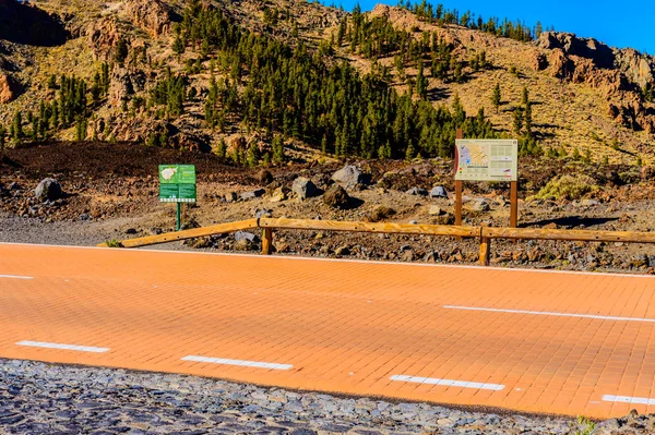 Road Crossing Park Fir Forest Teide National Park April 2019 — Stock Photo, Image