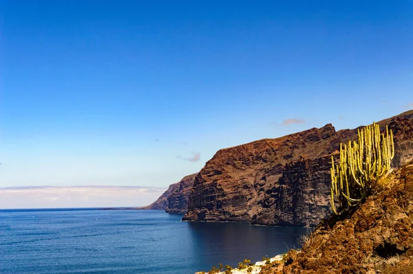 Magnificent Views of the Cliff of the Giants with a Cactus in the Composition from the Achipenque Viewpoint. April 13, 2019. Santiago Port, Santa Cruz De Tenerife Spain Africa. Travel Tourism Street Photography.