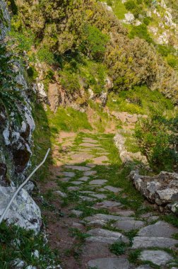 La Gomera 'daki zirvenin puslu havasında Laja bakış açısındaki vadiye giden güzel kaldırımlı bir yol. 15 Nisan 2019. La Gomera, Santa Cruz De Tenerife İspanya Afrika. Seyahat Turizmi Fotoğraf Doğası.