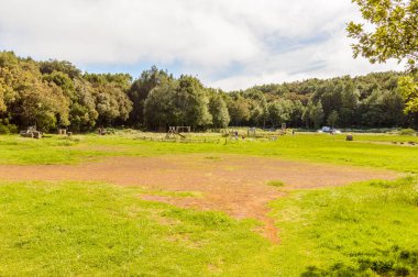 La Gomera 'daki Garajonay Ulusal Parkı' nda Kordon Çocuk Oyunları. 15 Nisan 2019. La Gomera, Santa Cruz de Tenerife İspanya Afrika. Seyahat Turizmi Fotoğraf Doğası.