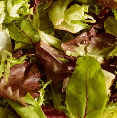 Taze Rucula ve Yeşil Marul Salatası