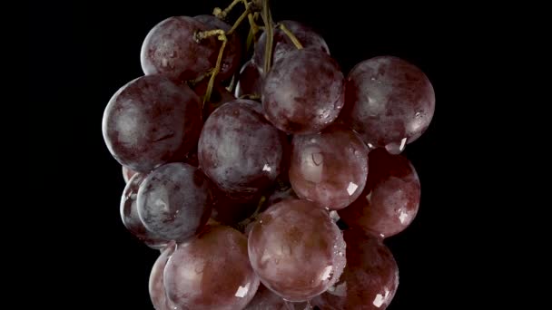 Un racimo de uvas rojas cuelga en la oscuridad, la cámara toma un panorama vertical — Vídeos de Stock