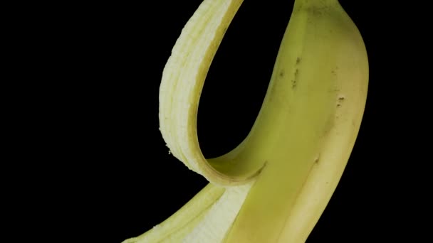 Yellow banana with open skin hanging in the dark — Stock Video