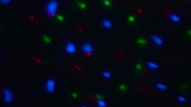 Las luces rojas, verdes y azules del caleidoscopio — Vídeos de Stock