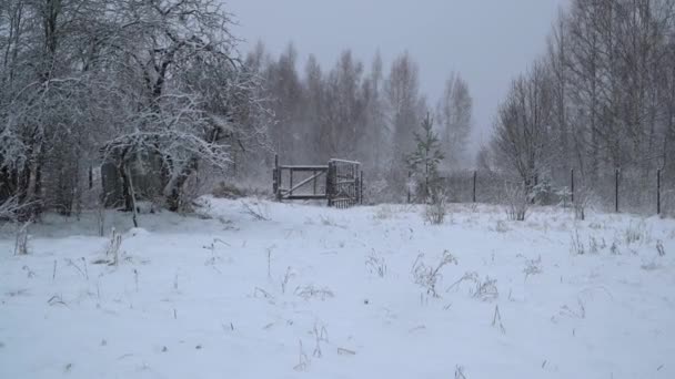 Снегопад на заснеженном сельском участке — стоковое видео