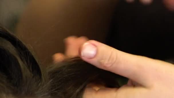 De stylist houdt een haarlok van een meisje in zijn handen en streelt haar zachtjes — Stockvideo