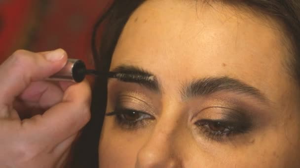 Make-up umělec s kartáčem česání dívčina obočí — Stock video