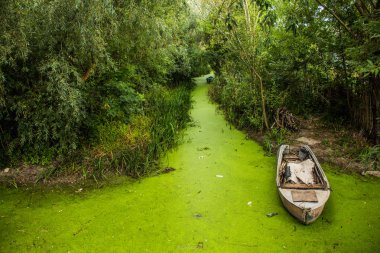 Bir kanal eski teknede