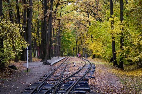 Çocuklar demiryolu sonbahar ormanda