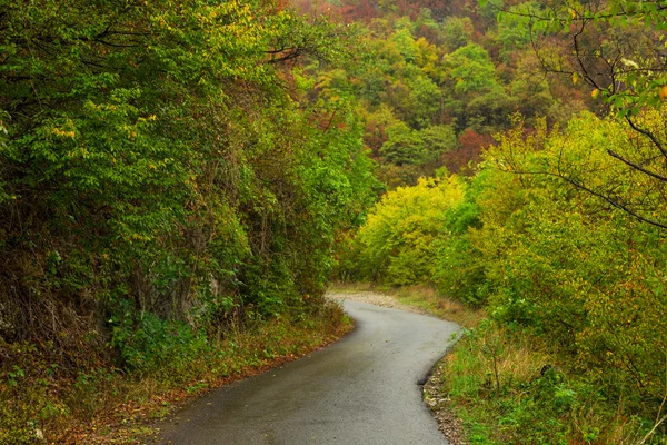 Podzimní krajina v horách — Stock fotografie