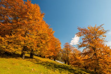 Uzak dağ bölgesinde Ekim sonbahar sahne
