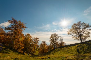 Uzak dağ bölgesinde Ekim sonbahar sahne