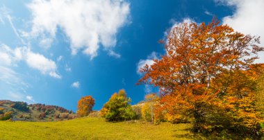 Uzak dağ bölgesinde Ekim sonbahar sahne