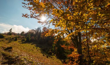 Uzak dağ bölgesinde Ekim sonbahar sahne
