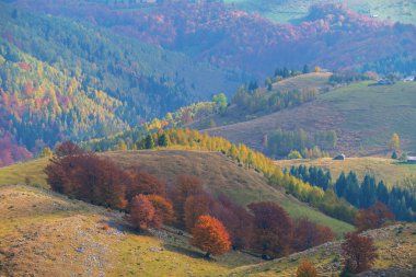 Uzak dağ bölgesinde Ekim sonbahar sahne