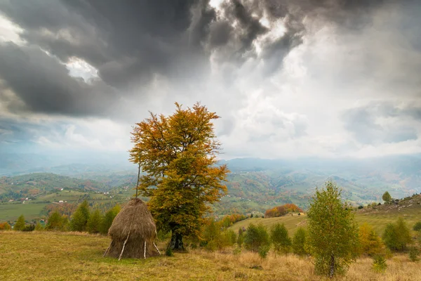 Paysage Automne Dans Les Montagnes Avec Beau Feuillage Des Nuages — Photo