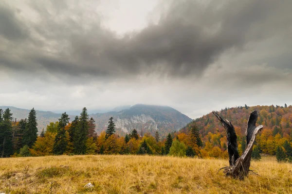 Podzimní Krajina Horách Krásnou Zeleň Dramatické Dešťové Mraky — Stock fotografie