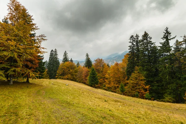 Paisagem Outono Nas Montanhas Com Belas Folhagens Nuvens Chuva Dramáticas — Fotografia de Stock