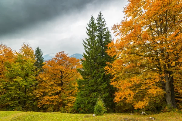 Uzak dağ bölgesinde Ekim sonbahar sahne — Stok fotoğraf