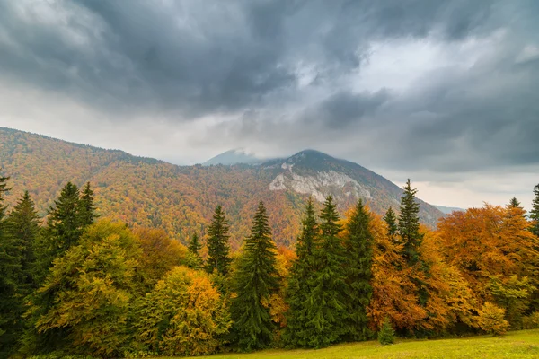 Uzak dağ bölgesinde Ekim sonbahar sahne — Stok fotoğraf