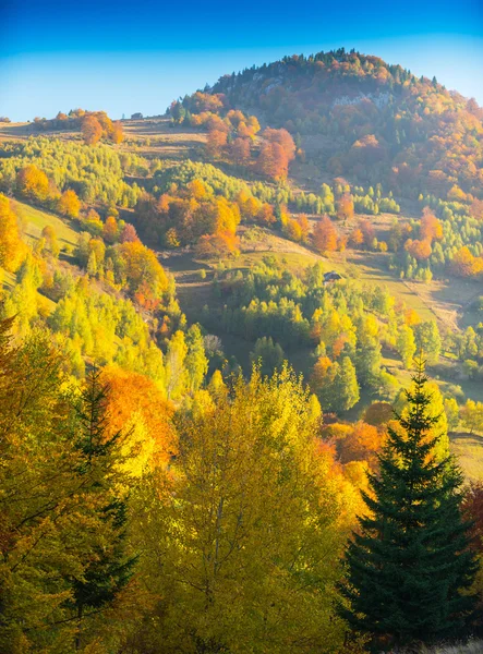 Octobre paysages d'automne dans la région montagneuse éloignée — Photo