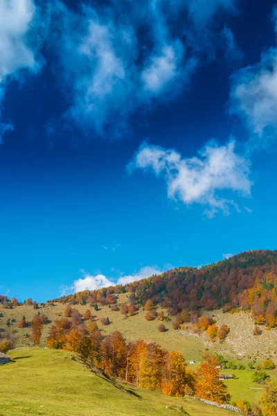 Oktober Herbstlandschaft in abgelegener Bergregion — Stockfoto