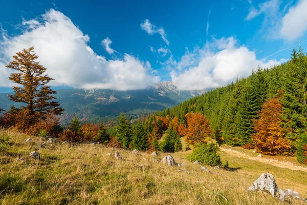 Octobre paysages d'automne dans la région montagneuse éloignée — Photo