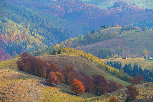 Října podzimní krajinou v odlehlé horské oblasti — Stock fotografie