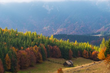 Uzak dağ bölgesinde Ekim sonbahar sahne