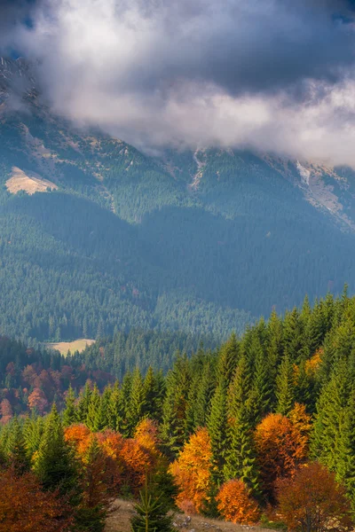 Października jesień krajobraz w odległych górskich obszaru — Zdjęcie stockowe