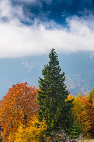 Října podzimní krajinou v odlehlé horské oblasti — Stock fotografie
