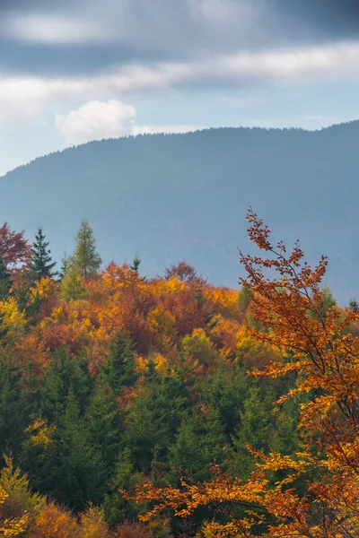 October autumn scenery in remote mountain area — Stock Photo, Image