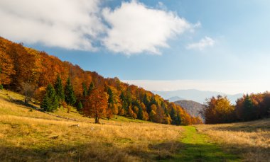 Uzak dağ bölgesinde Ekim sonbahar sahne