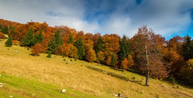 Uzak dağ bölgesinde Ekim sonbahar sahne