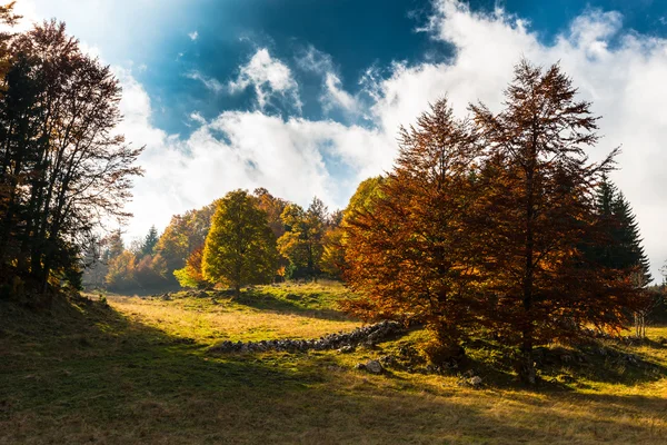 Října podzimní krajinou v odlehlé horské oblasti — Stock fotografie