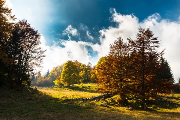 Října podzimní krajinou v odlehlé horské oblasti — Stock fotografie