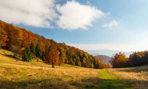 Uzak dağ bölgesinde Ekim sonbahar sahne