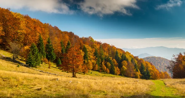 Uzak dağ bölgesinde Ekim sonbahar sahne