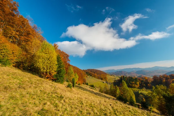 Oktober Herbstlandschaft in abgelegener Bergregion — Stockfoto