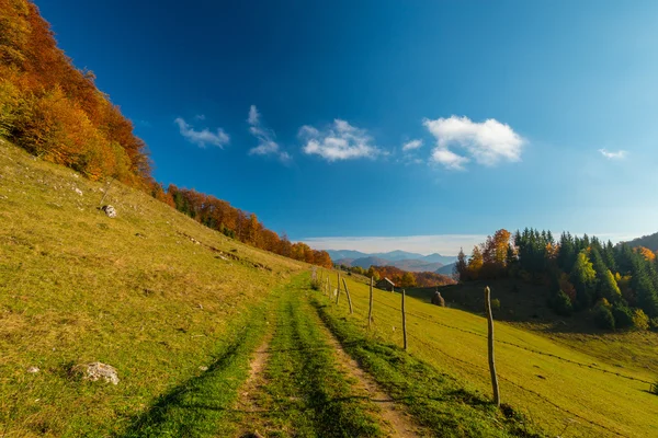 Couleurs Automnales Vibrantes Par Une Journée Ensoleillée Dans Les Montagnes — Photo