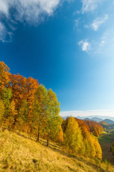 Zářivé Podzimní Barvy Slunného Dne Horách Krásná Jasná Obloha — Stock fotografie