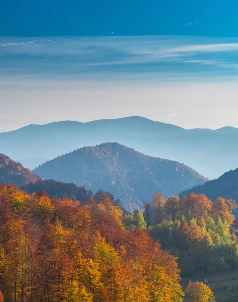 在山上阳光明媚的日子里 有鲜艳的秋色 天空美丽清澈 — 图库照片