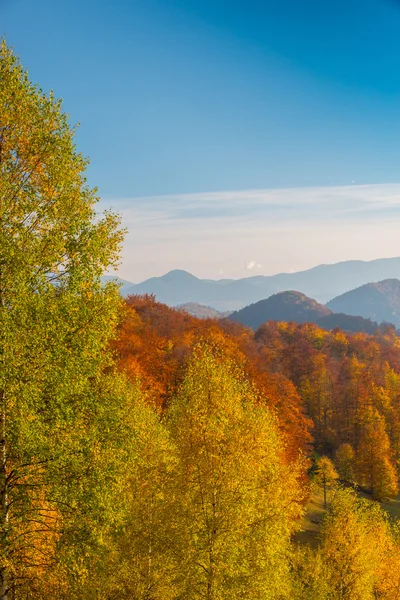 山の眺望 美しい晴天で晴れた日に鮮やかな秋の色 — ストック写真